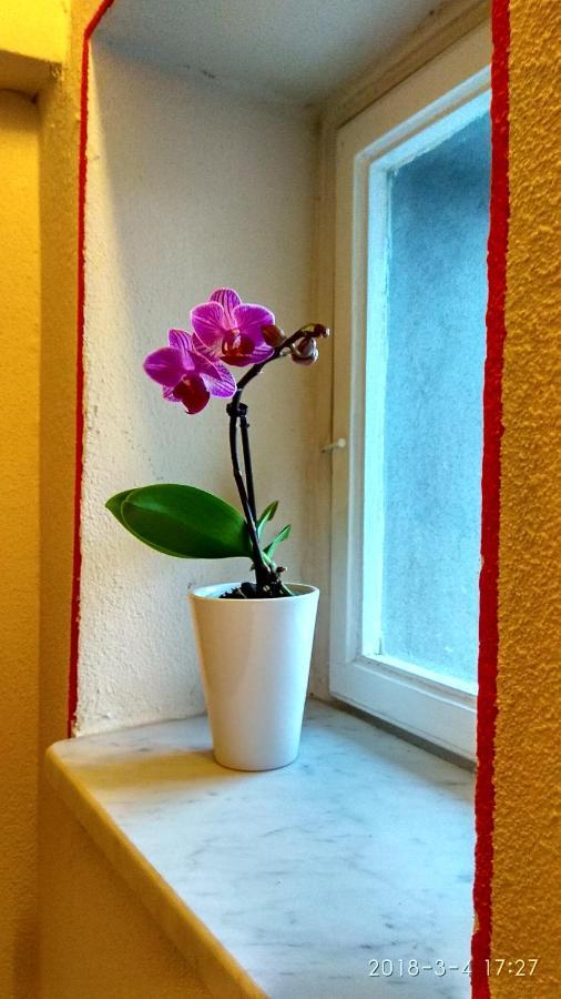루카 Le Rondini Di San Donato B&B 외부 사진