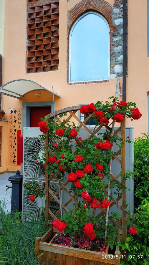 루카 Le Rondini Di San Donato B&B 외부 사진