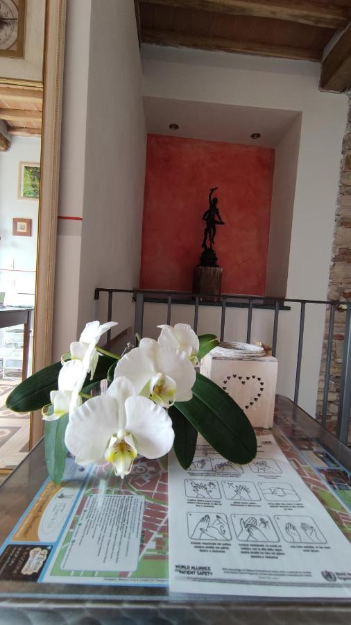루카 Le Rondini Di San Donato B&B 외부 사진